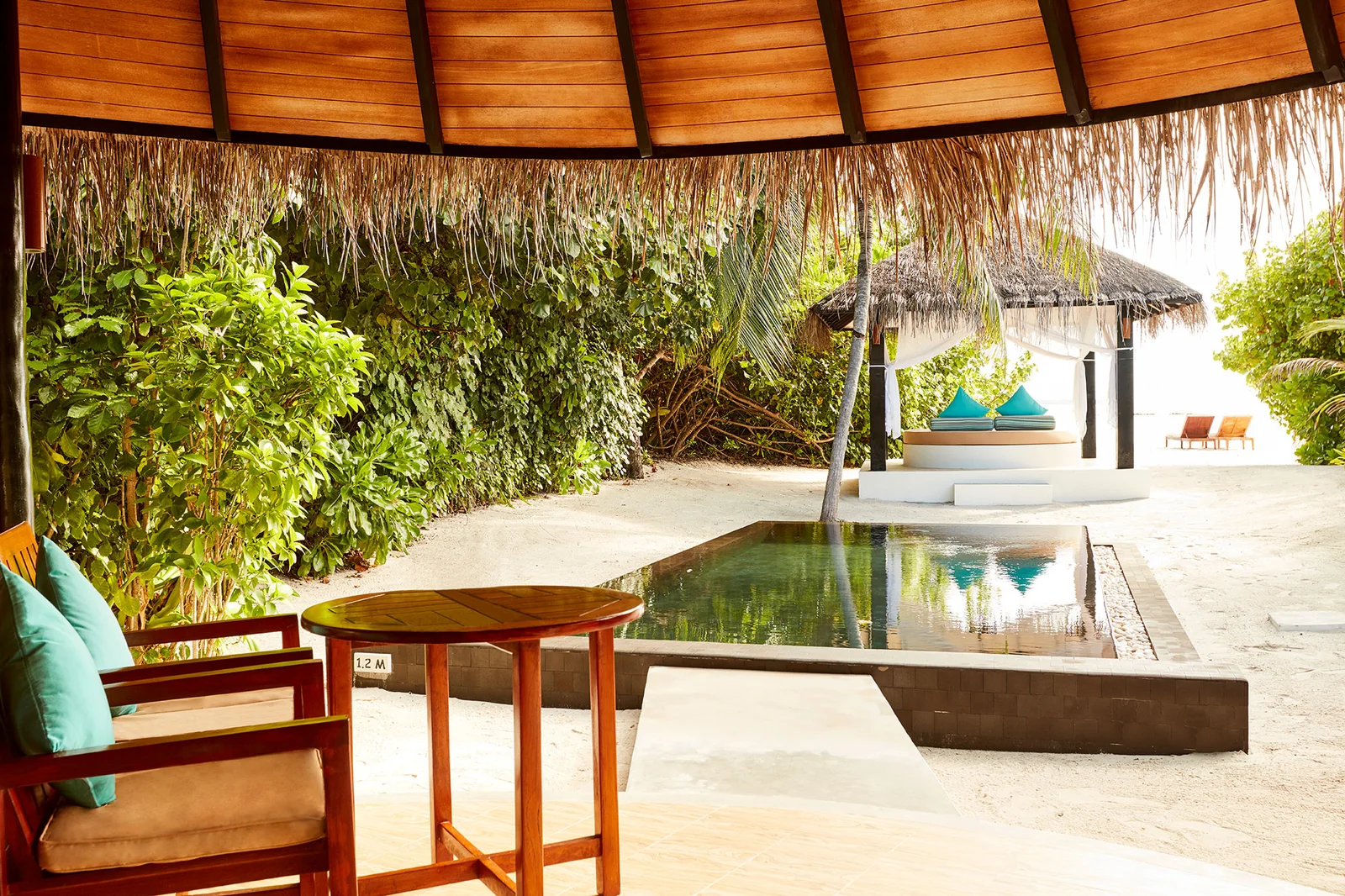 Deluxe Beach Villa With Pool - фото 5